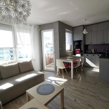 Apartament Mieszko 코워브제크 외부 사진
